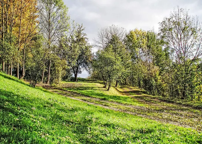 Valley Park 20 By Interhome 度假居 Stárkov